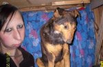 Perro tan feo como la dueÃ±a.jpg