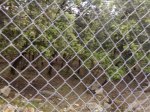 28052008058.jpg
