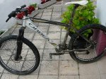 DSCN3288.jpg