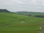 DSCN1495.JPG