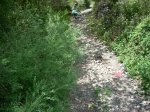 DSCN1695.JPG