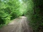 DSCN1682.JPG