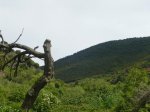 img92.JPG