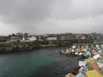 IMG_5951.JPG
