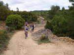 DSC00417.JPG