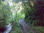 19052008272.jpg