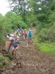 BTT2007309.jpg