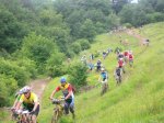 BTT2007363.jpg