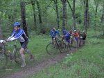 BTT2007741.jpg
