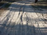 DSCN1433.JPG