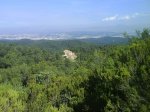 DSC00302.jpg
