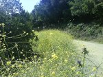 DSC00305.jpg