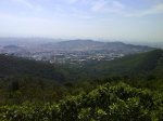 DSC00310.jpg