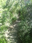 DSC00313.jpg