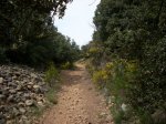 DSCN1611.JPG