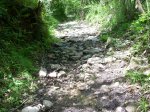 DSCN1747.JPG