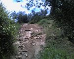 Photo-0186.jpg