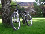 specialized 2.jpg