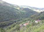DSC00389.jpg