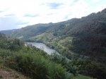 DSC00392.jpg