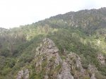 DSC00393.jpg