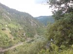 DSC00394.jpg