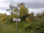 DSC00407.jpg