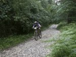 BTT2007638.jpg