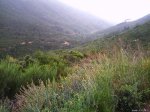 PHOT0007.jpg