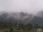 P5315460_resize.jpg
