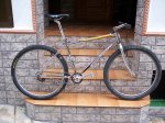 sunn simgle speed 004.jpg