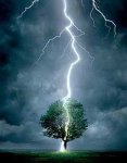 rayos12.jpg
