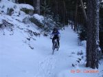 DSC00294 (Medium).JPG