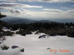 DSC00304 (Medium).JPG