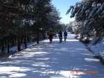 DSC00306 (Medium).JPG