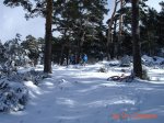 DSC00322 (Medium).JPG