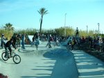 DSC00994 (Medium).jpg