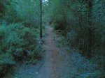 28122005(001).jpg
