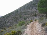 mini-IMG_2882.JPG