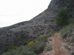 mini-IMG_2884.JPG