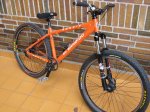 bici 1.jpg