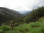 DSCN0590.jpg