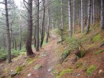 DSCN0602.jpg