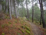 DSCN0603.jpg