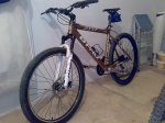 mtb.jpg