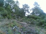 dia 01- 06-2008 017.jpg