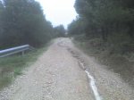 DSC00195.JPG