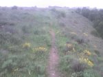 DSC00193.JPG