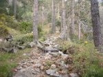 Foto9.JPG