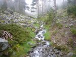 Foto15.JPG